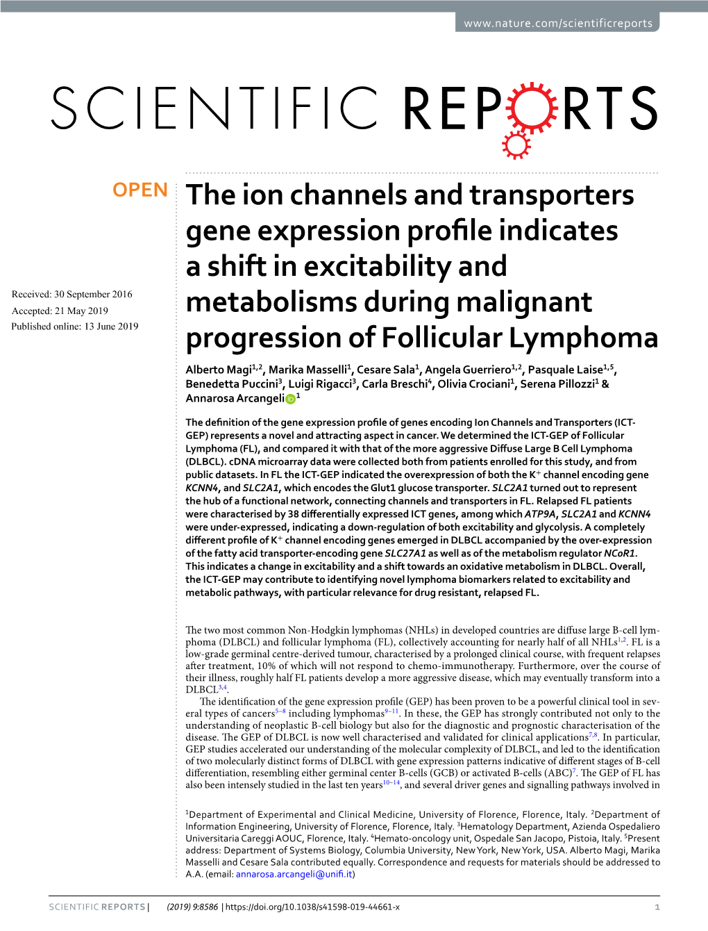 The Ion Channels and Transporters Gene Expression Profile Indicates A