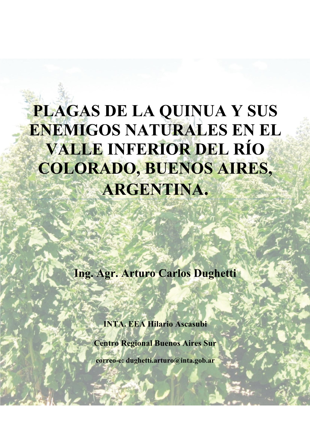 Plagas De La Vicia Y Sus Enemigos Naturales