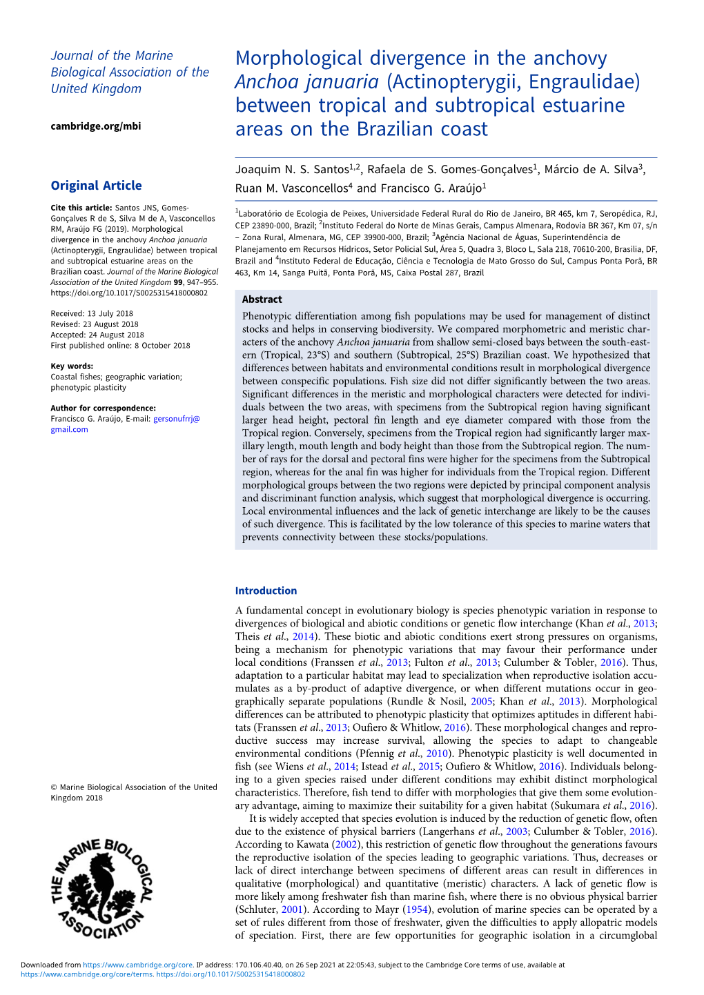 Morphological Divergence in the Anchovy Anchoa Januaria