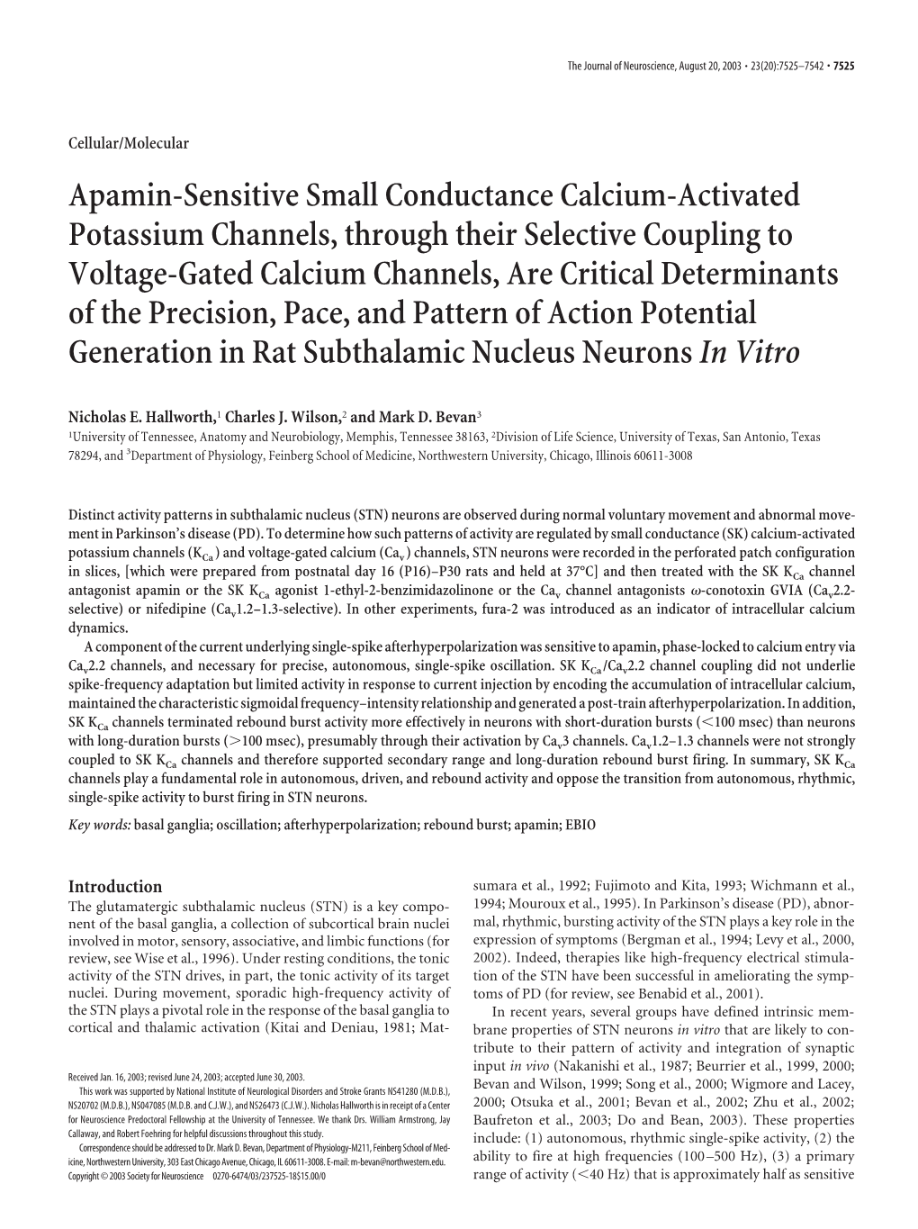 Apamin-Sensitive Small Conductance Calcium-Activated Potassium