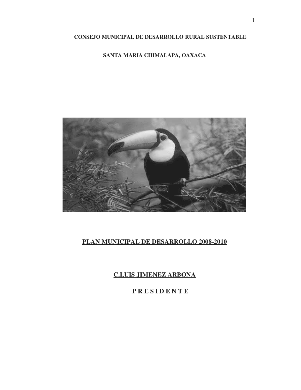 Plan Municipal De Desarrollo 2008-2010 C.Luis Jimenez Arbona