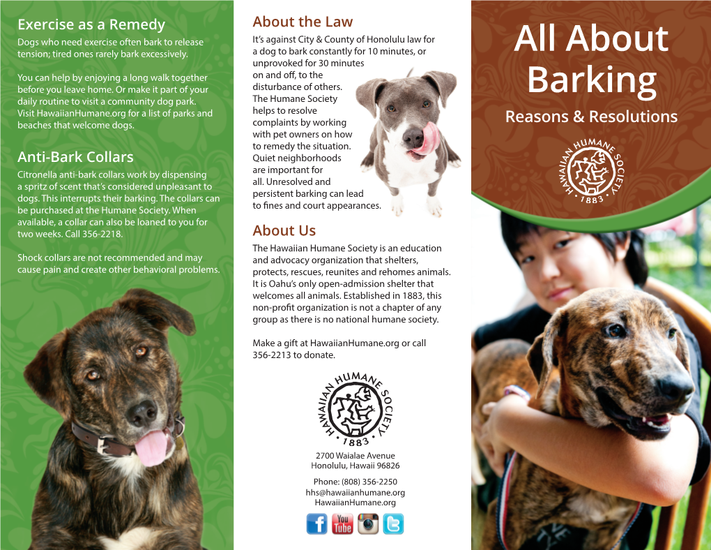 All About Barking