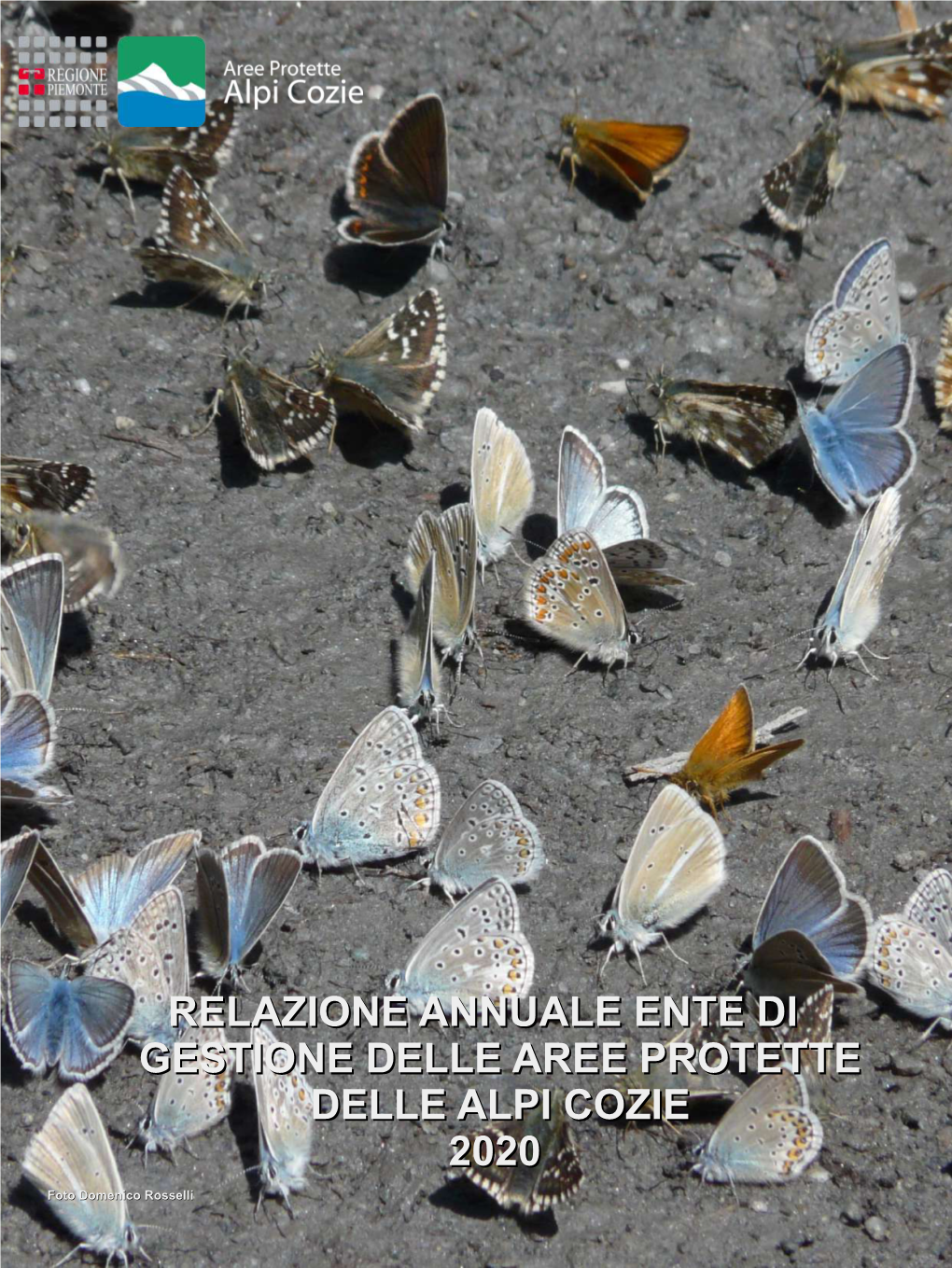 Relazione Annuale Ente Di Gestione Delle Aree Protette Delle Alpi Cozie 2020