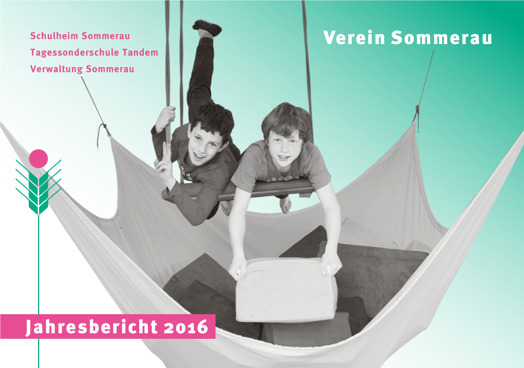 Verein Sommerau Jahresbericht 2016
