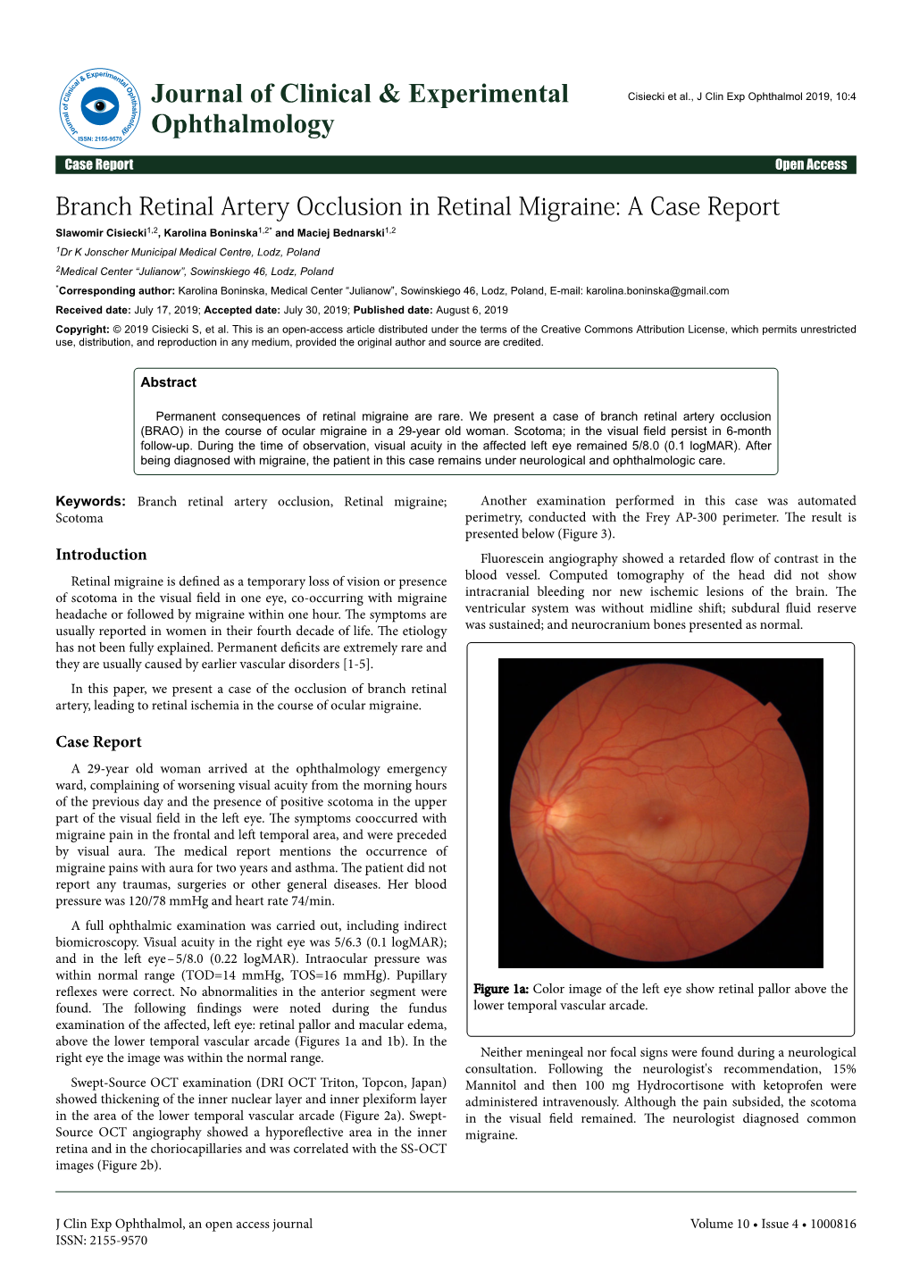 Branch Retinal Artery Occlusion in Retinal
