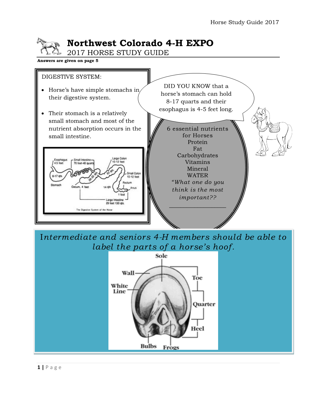 Horse Study Guide 2017