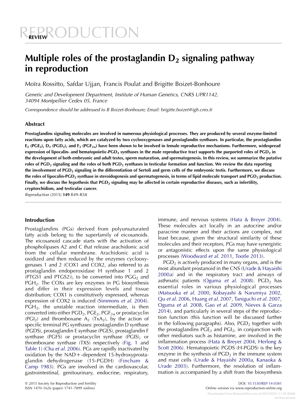 DNA Methylation in Germ Cell Tumour Aetiology: Current Understanding