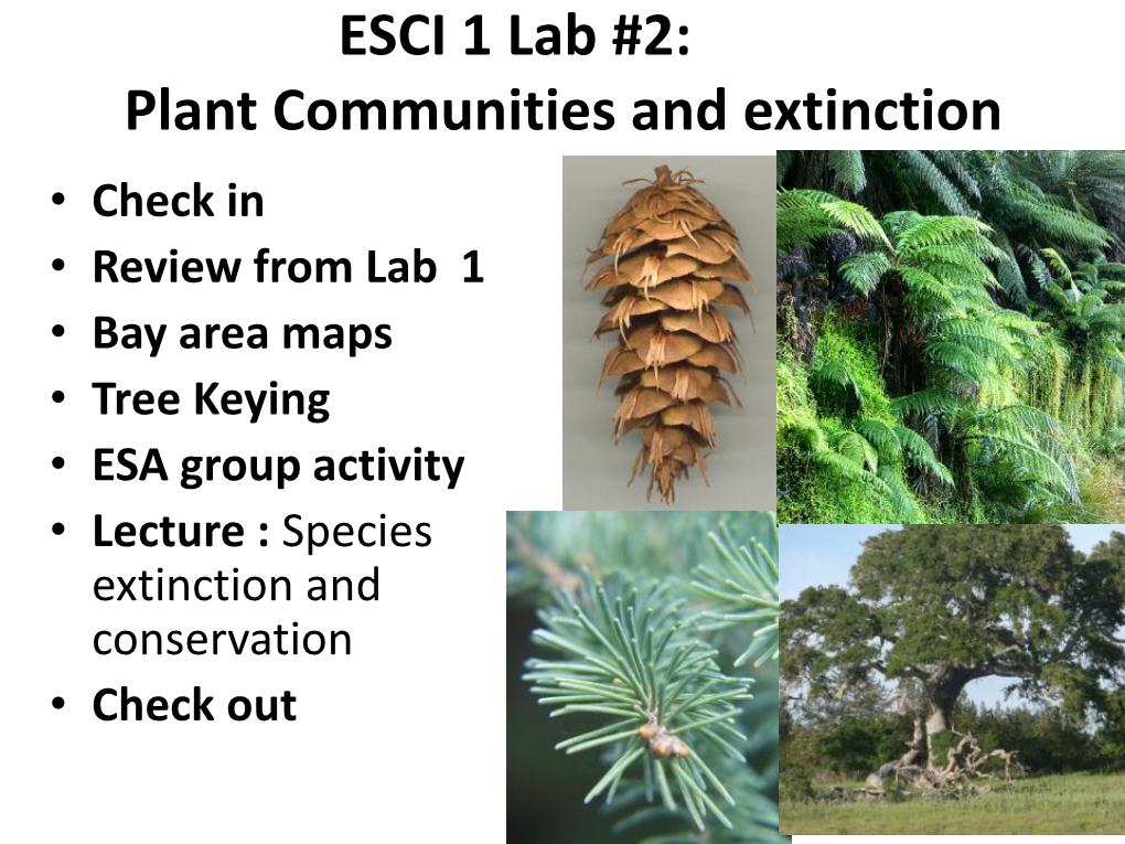 California Floristic Province Is One of the 25 “Biological Hotspots” in the World!