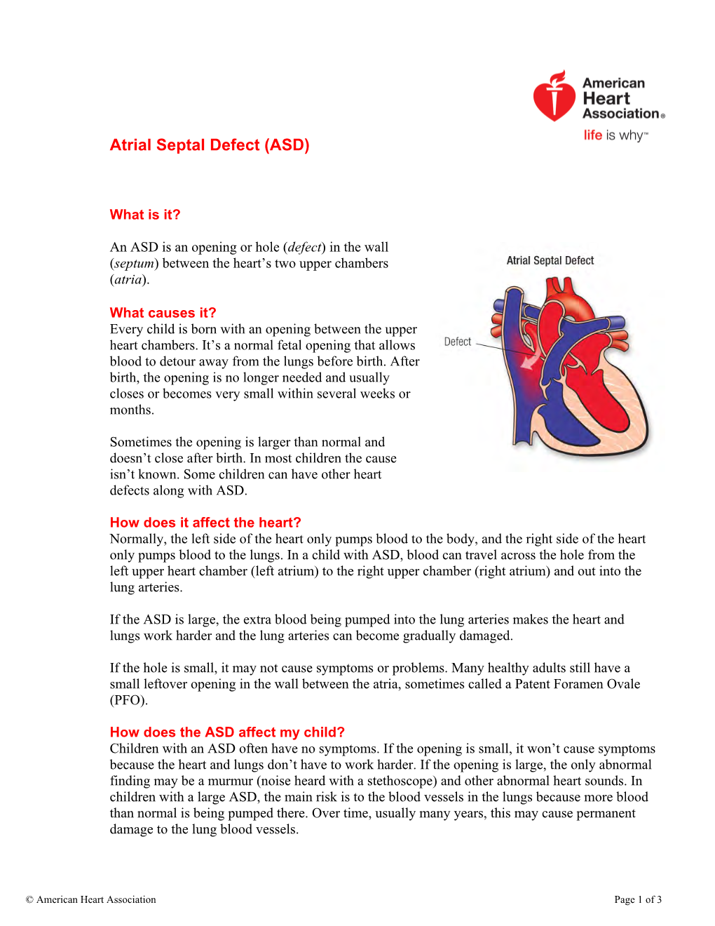 Atrial Septal Defect (ASD)