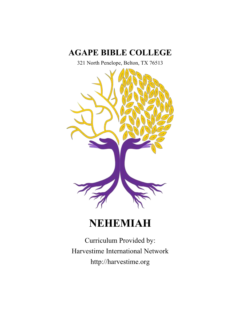 213 Nehemiah Outline