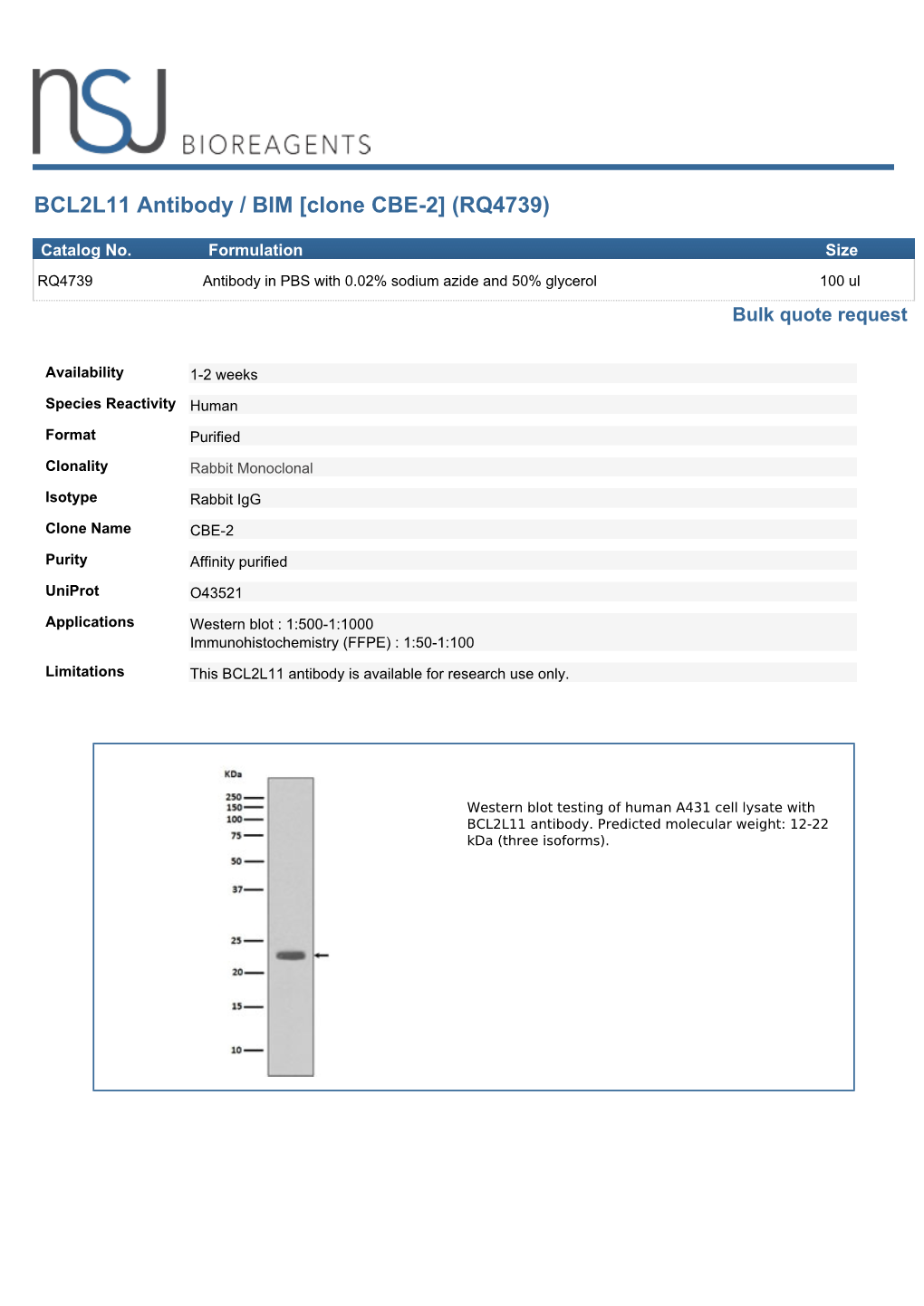 BCL2L11 Antibody / BIM [Clone CBE-2] (RQ4739)