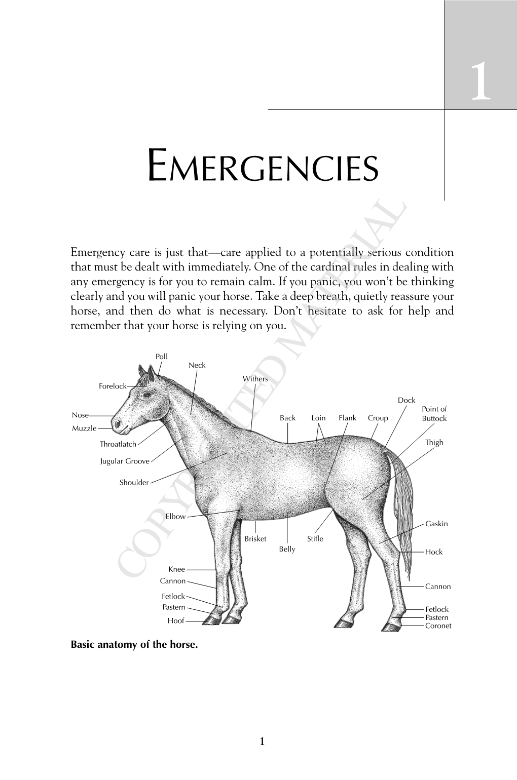 Chapter 1 1 EMERGENCIES