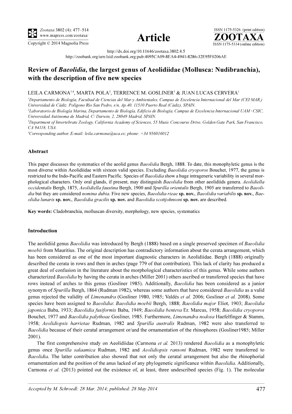 Review of Baeolidia, the Largest Genus of Aeolidiidae (Mollusca: Nudibranchia), with the Description of Five New Species