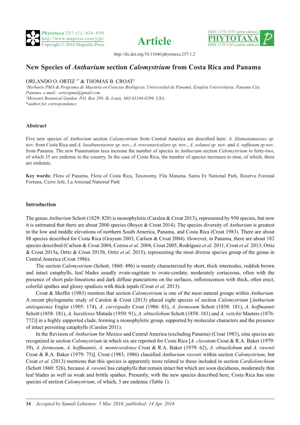 New Species of Anthurium Section Calomystrium from Costa Rica and Panama