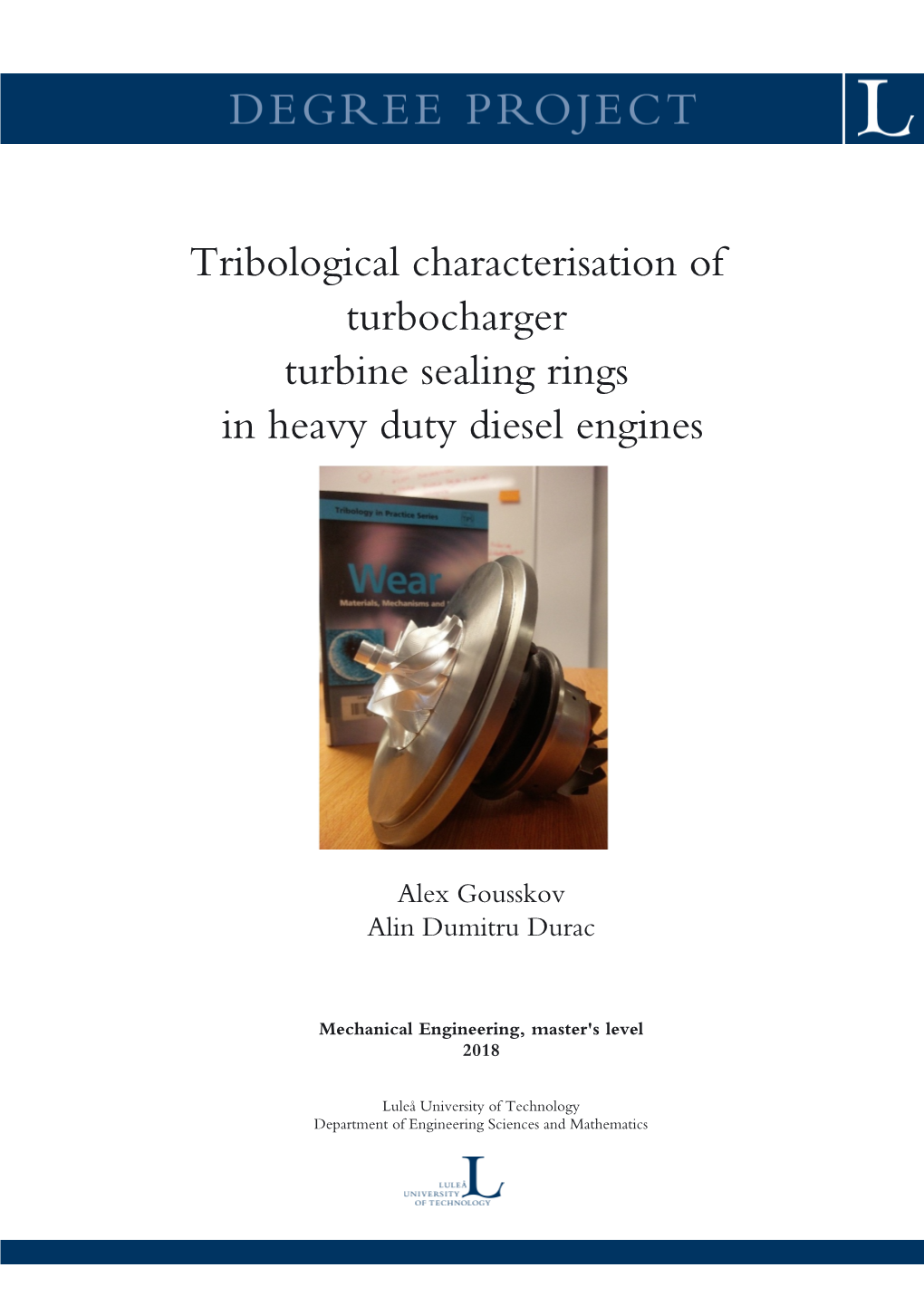 Tribological Characterisation of Turbocharger Turbine Sealing Rings in Heavy Duty Diesel Engines