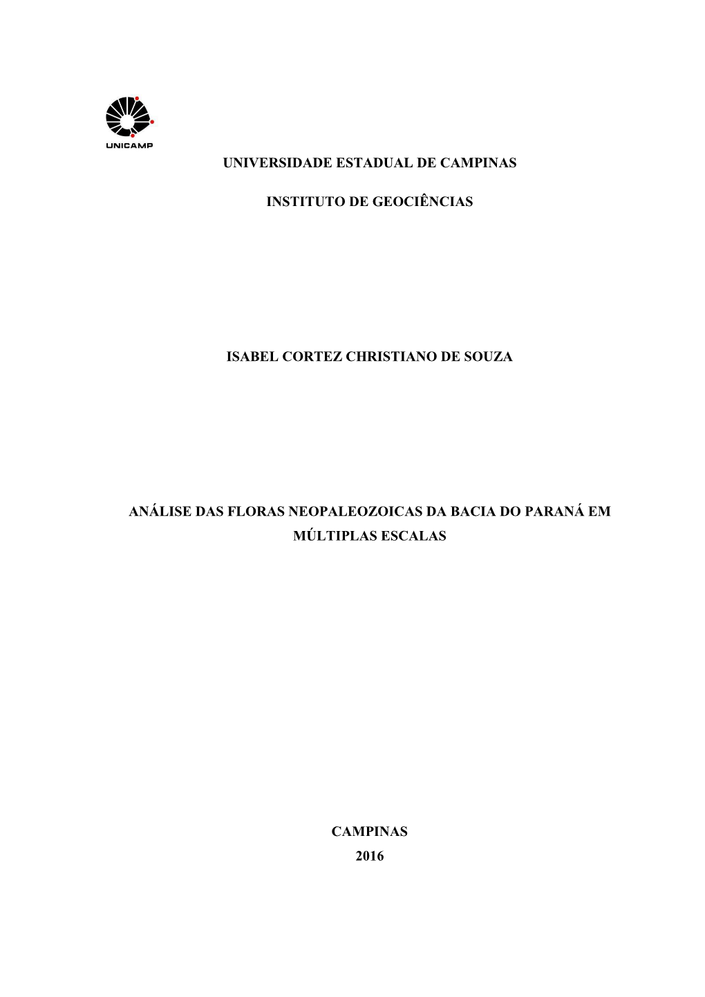 Universidade Estadual De Campinas Instituto De Geociências Pós-Graduação Em Geociências Na Àrea De Geologia E Recursos Naturais