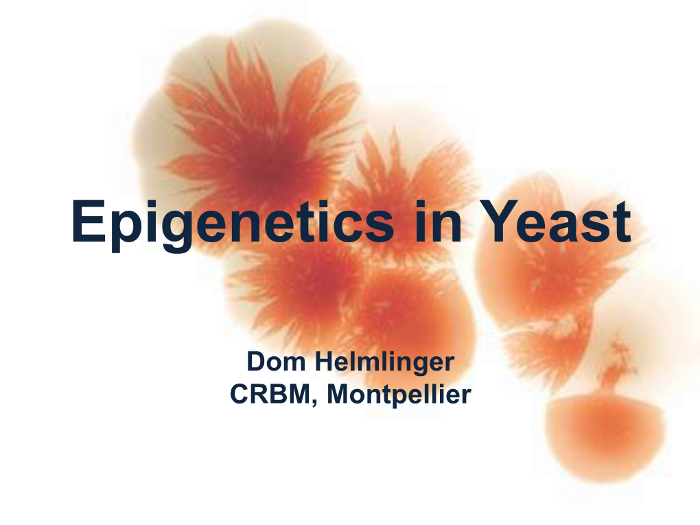 Epigenetics in Yeast