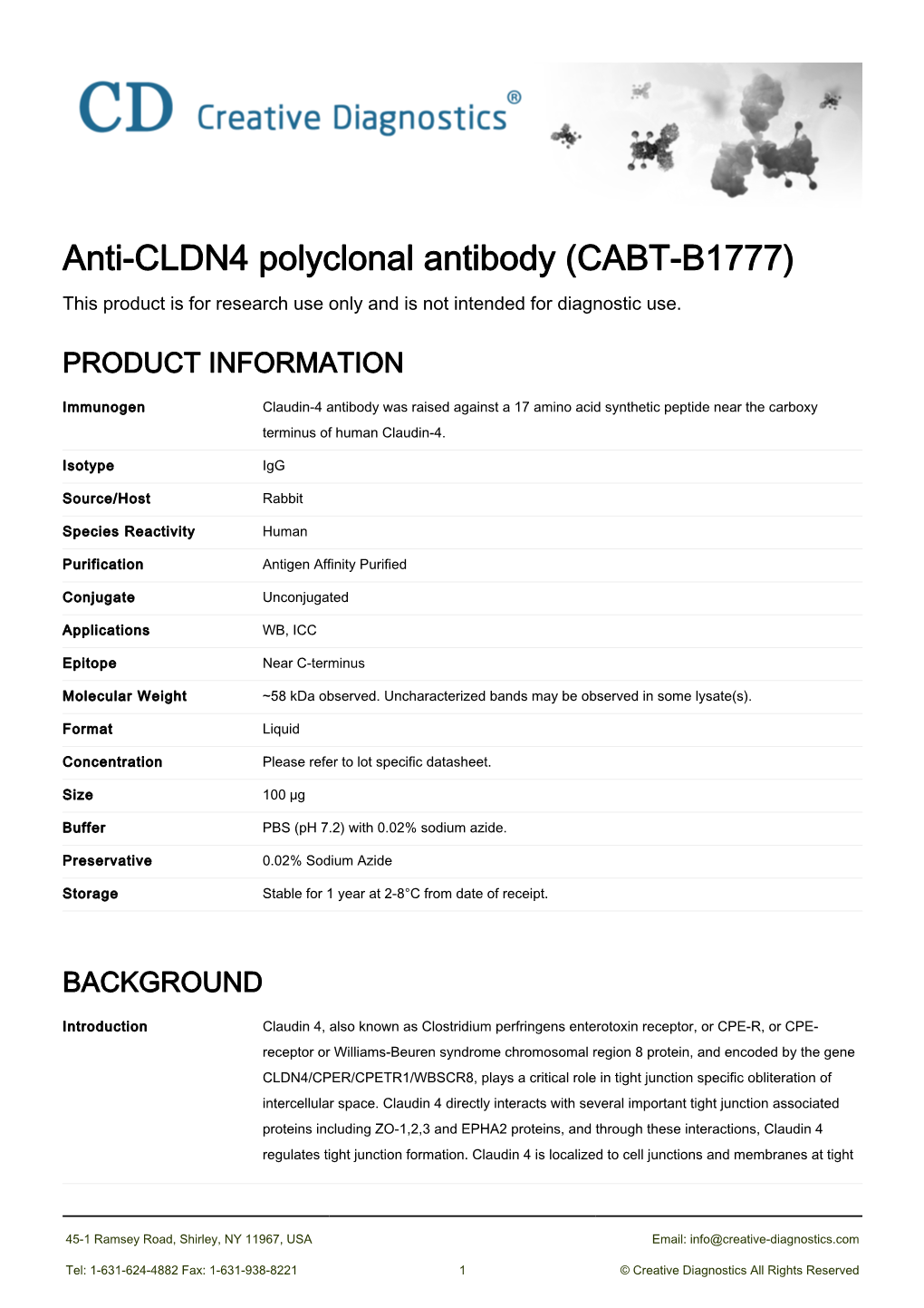 Anti-CLDN4 Polyclonal Antibody (CABT-B1777) This Product Is for Research Use Only and Is Not Intended for Diagnostic Use