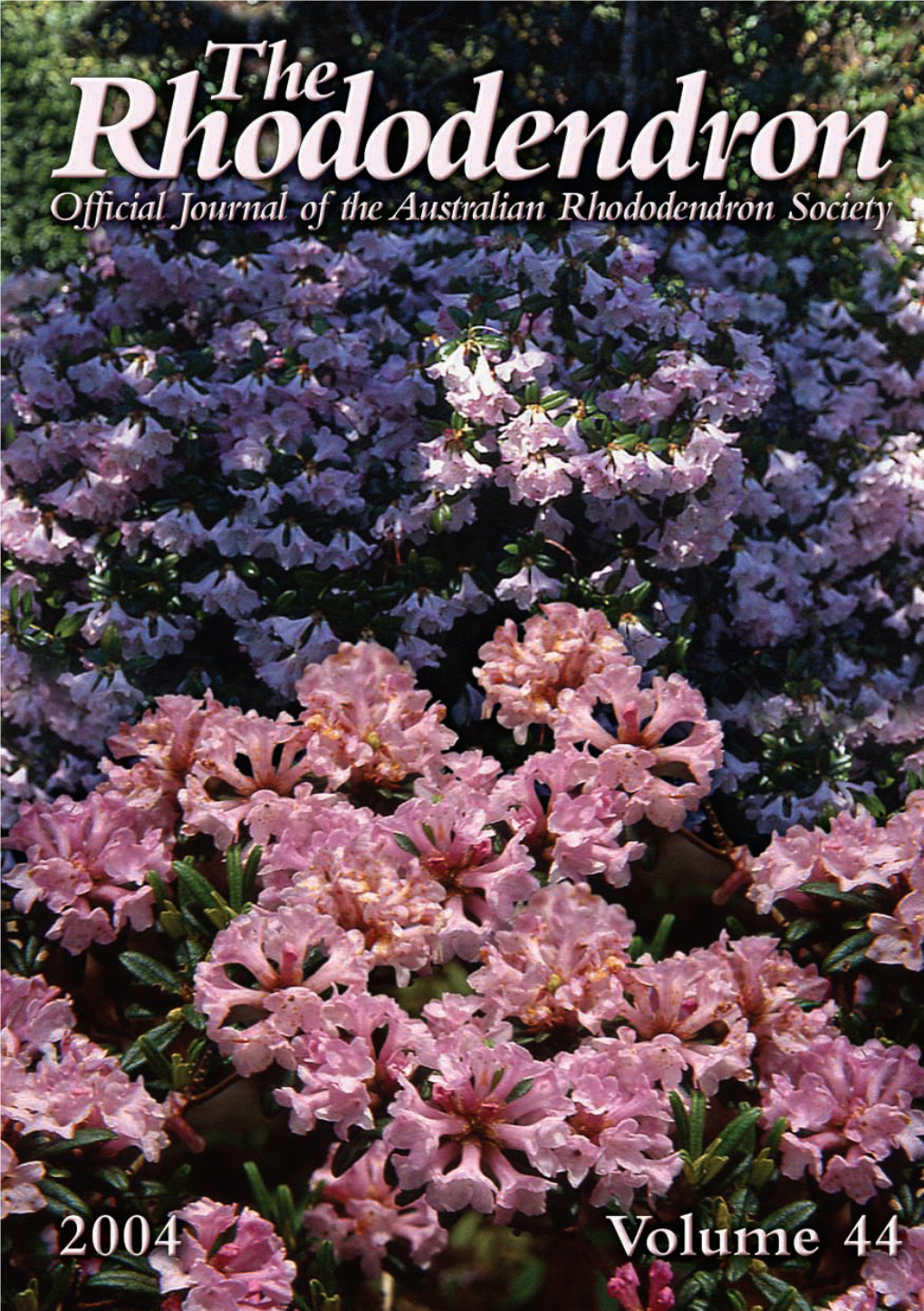 2004 the Rhododendron1.Pdf