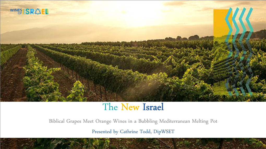Wines of Israel