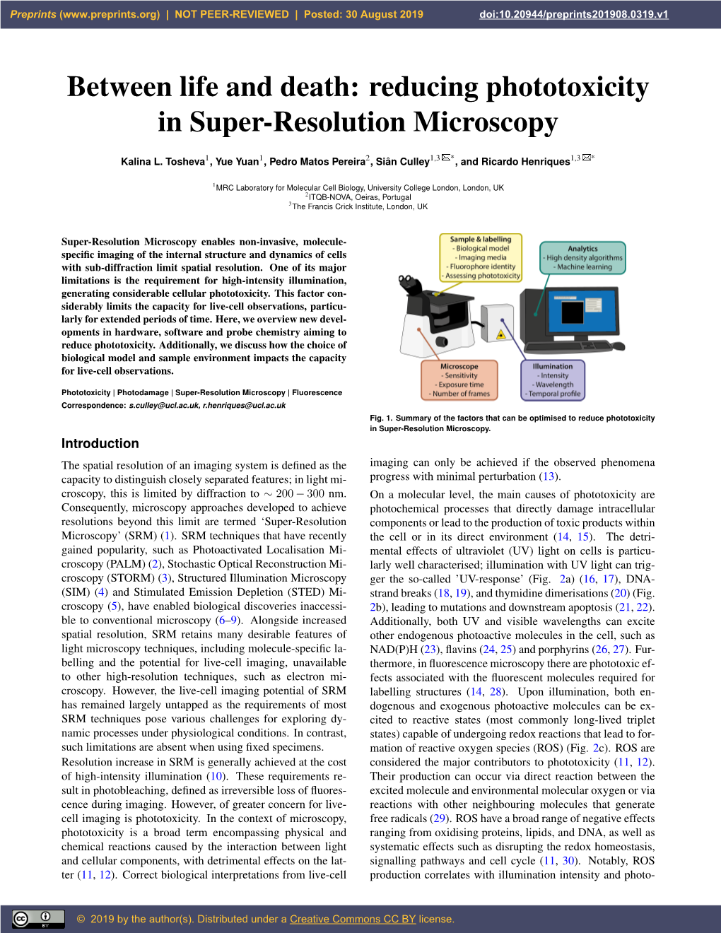 Reducing Phototoxicity in Super-Resolution Microscopy