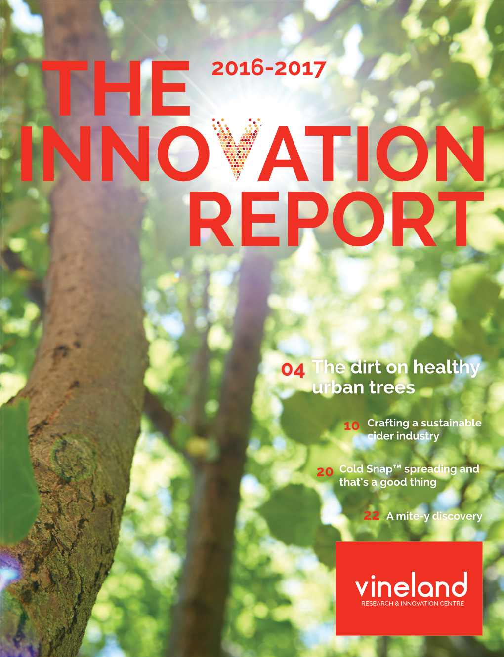 The 2016-2017 Innovation Report