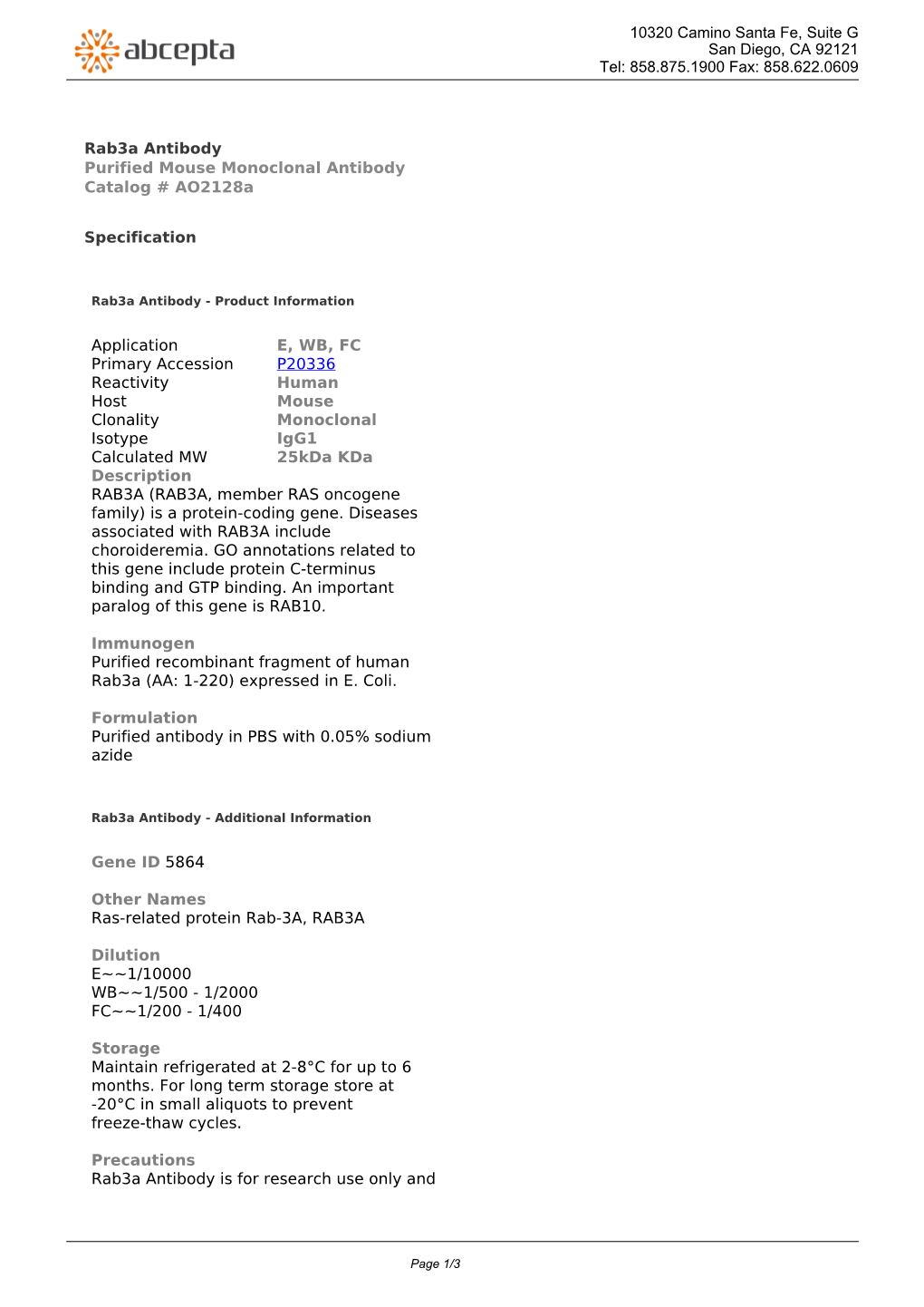 Rab3a Antibody Purified Mouse Monoclonal Antibody Catalog # Ao2128a