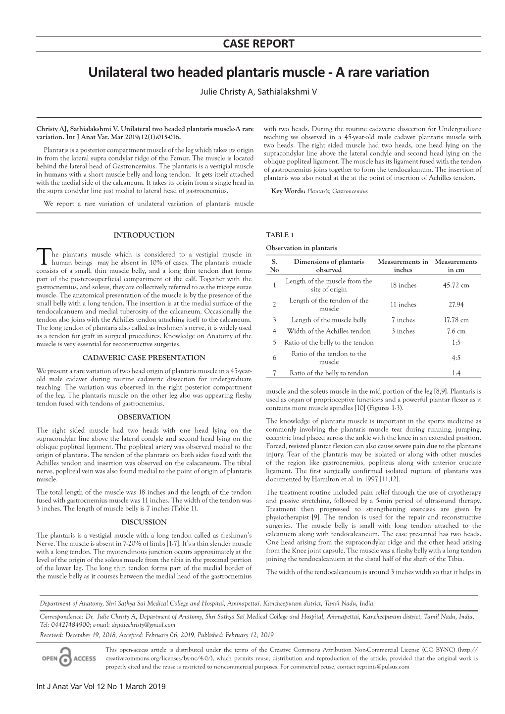 Unilateral Two Headed Plantaris Muscle - a Rare Variation Julie Christy A, Sathialakshmi V