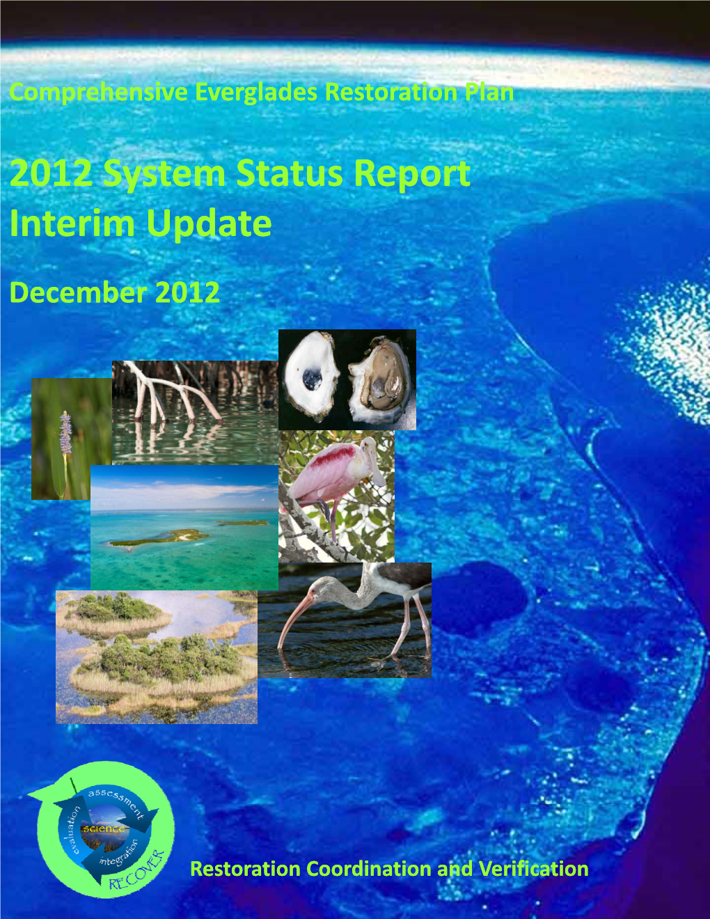 CERP 2012 System Status Report Interim Update