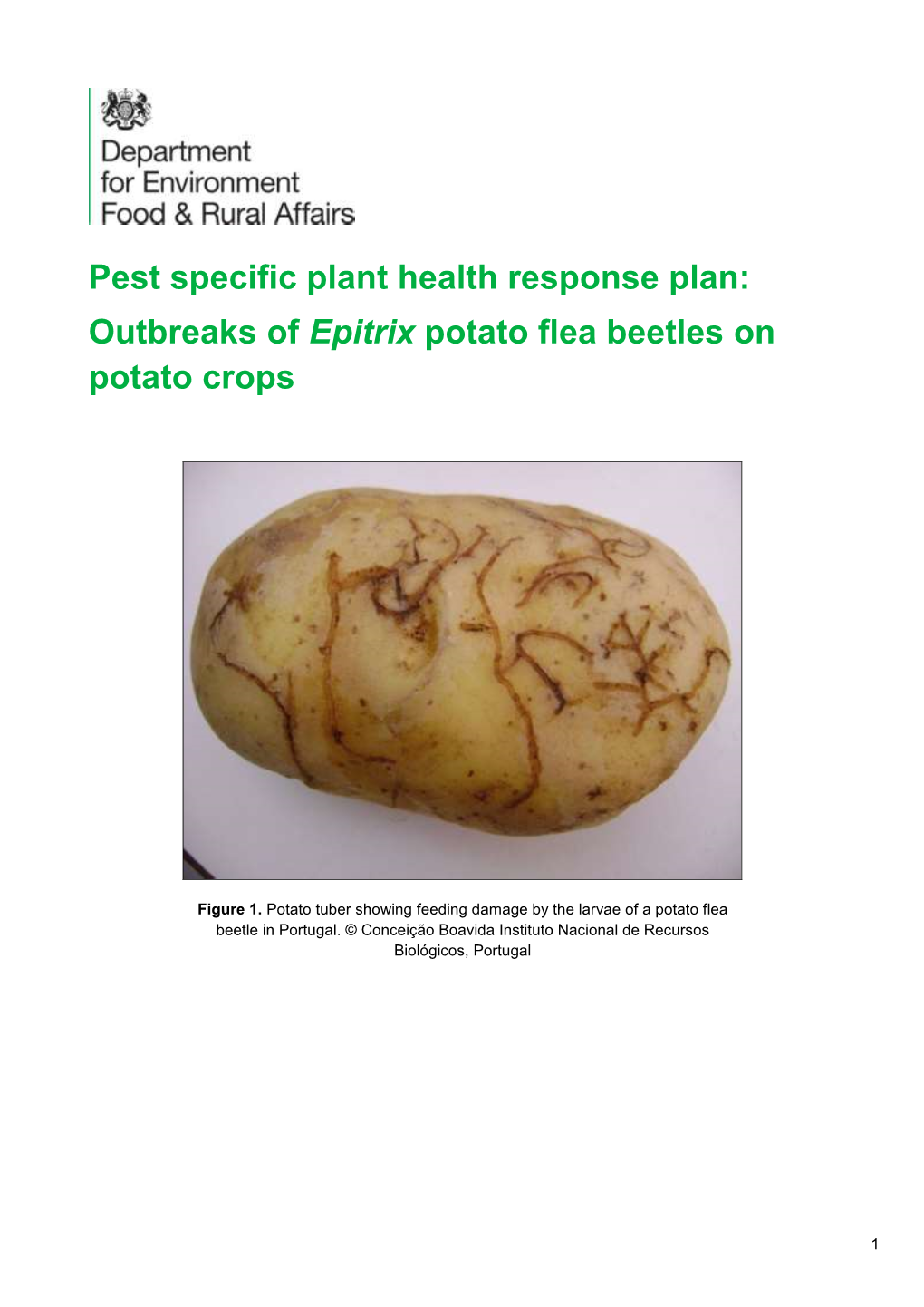 Pest Specific Plant Health Response Plan: Outbreaks of Epitrix Potato Flea Beetles on Potato Crops