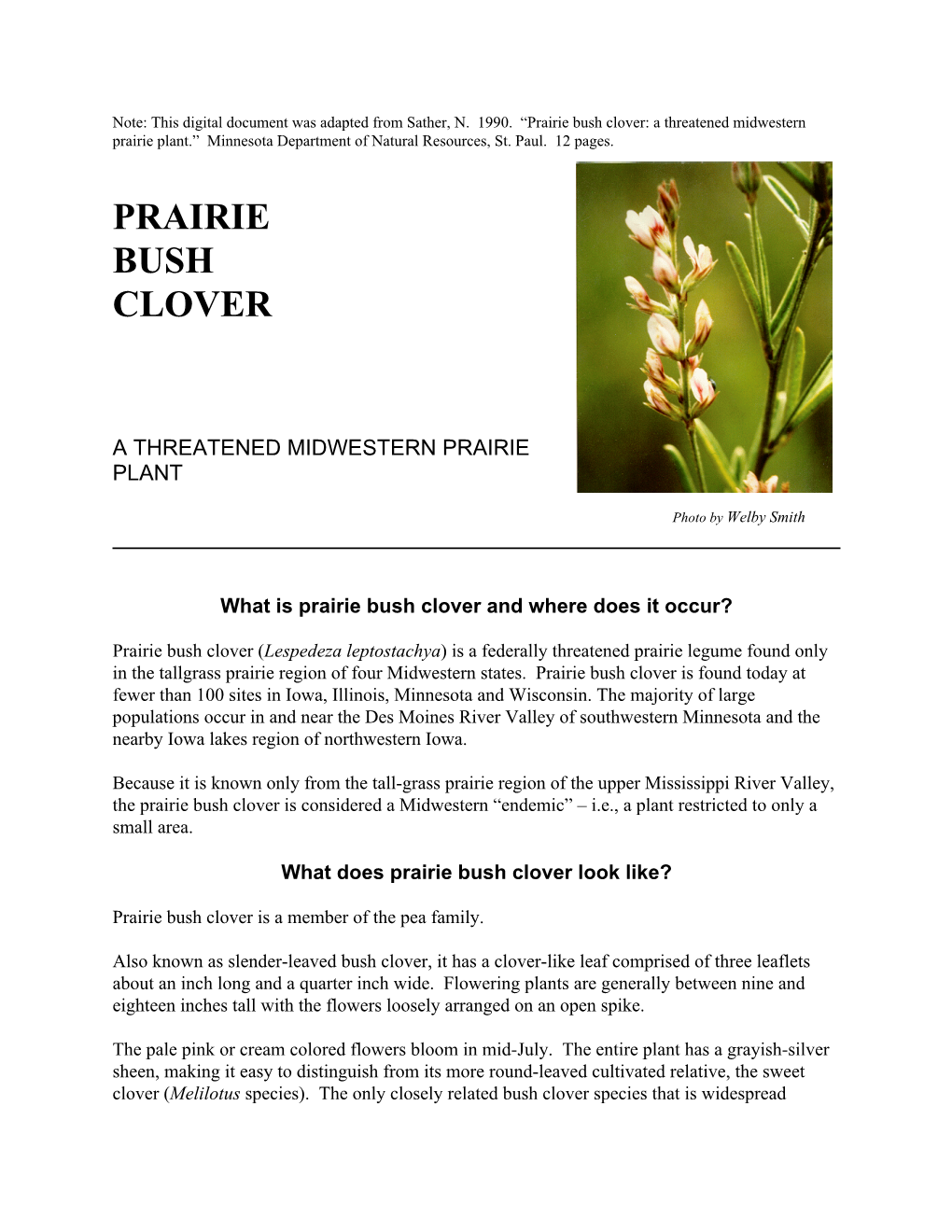 Prairie Bush Clover: a Threatened Midwestern Prairie Plant.” Minnesota Department of Natural Resources, St