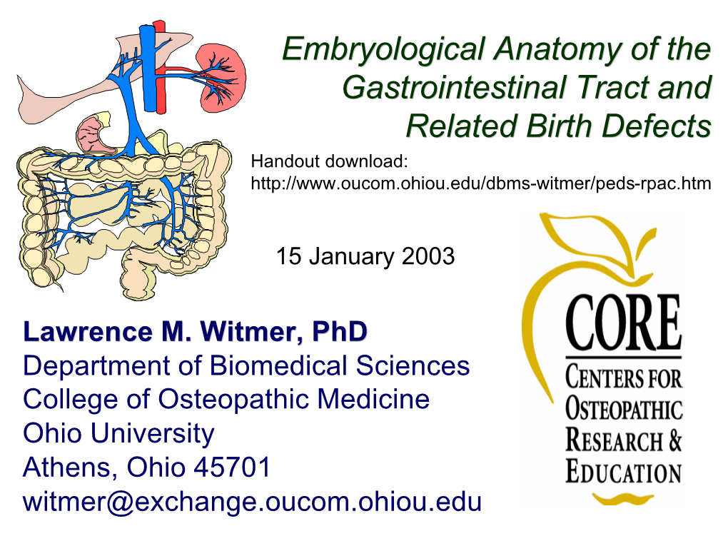 Embryological Anatomy of the GI Tract and Related Birth Defects