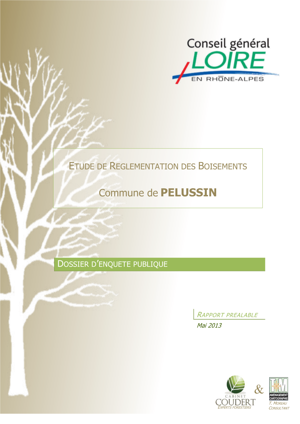 Commune De PELUSSIN