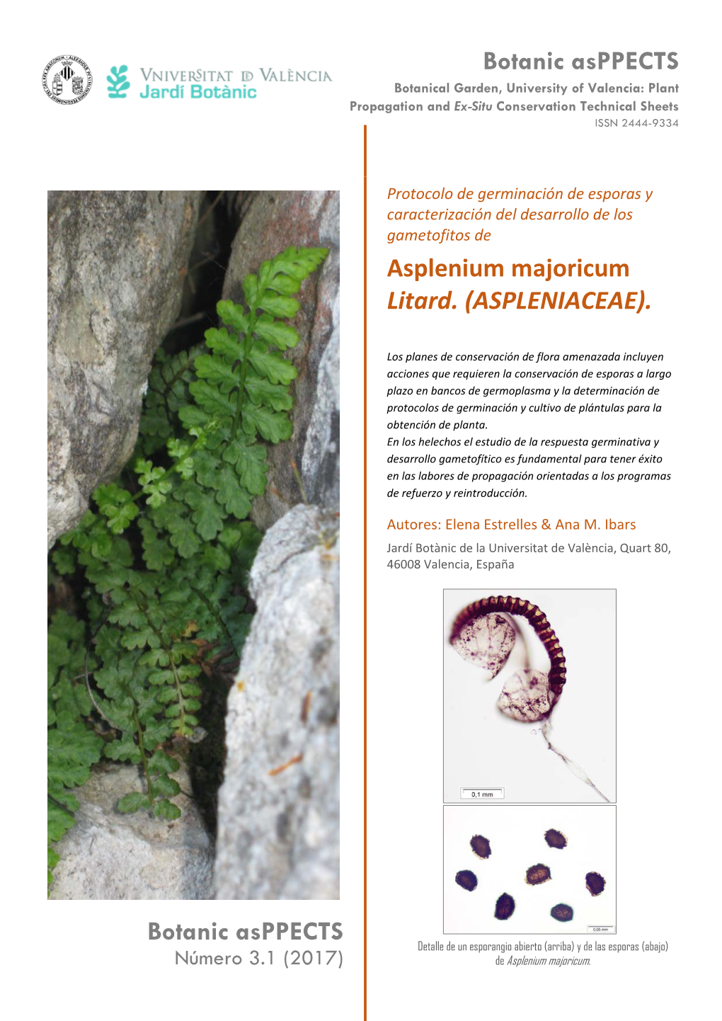 Protocolo De Germinación De Esporas Y Caracterización Del Desarrollo De Los Gametofitos De Asplenium Majoricum Litard