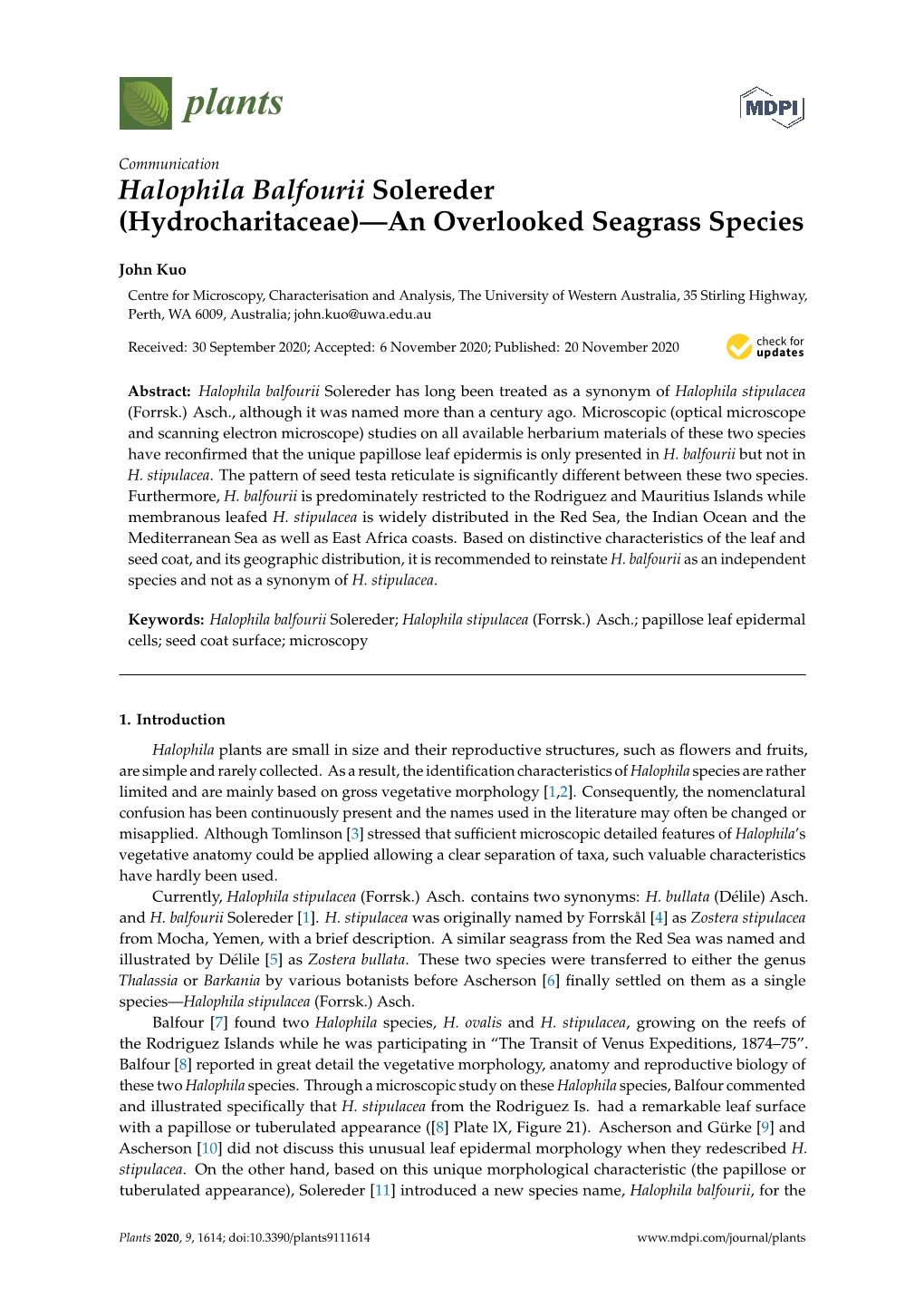 Halophila Balfourii Solereder (Hydrocharitaceae)—An Overlooked Seagrass Species