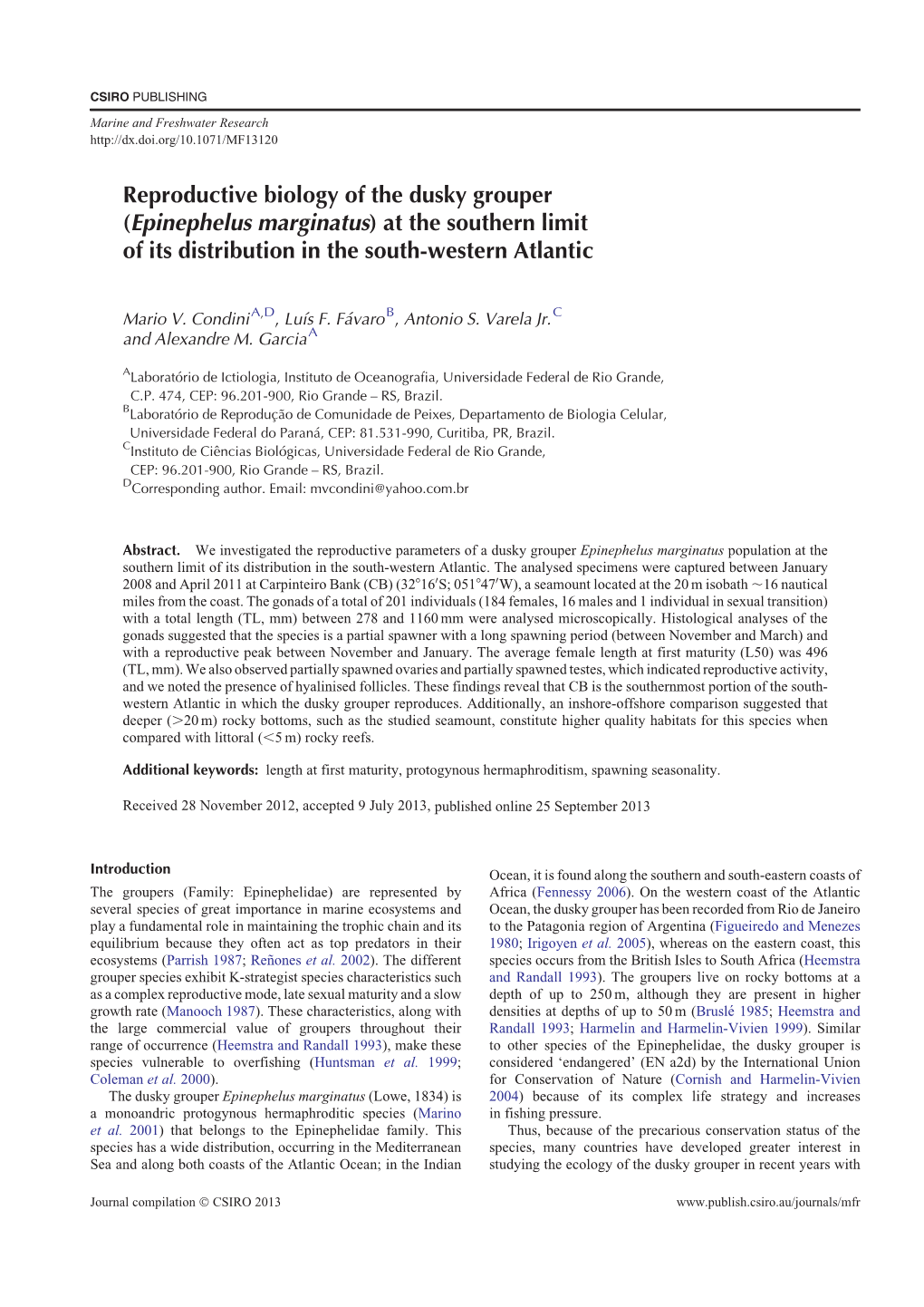 Reproductive Biology of the Dusky Grouper (Epinephelus Marginatus) at the Southern Limit of Its Distribution in the South-Western Atlantic