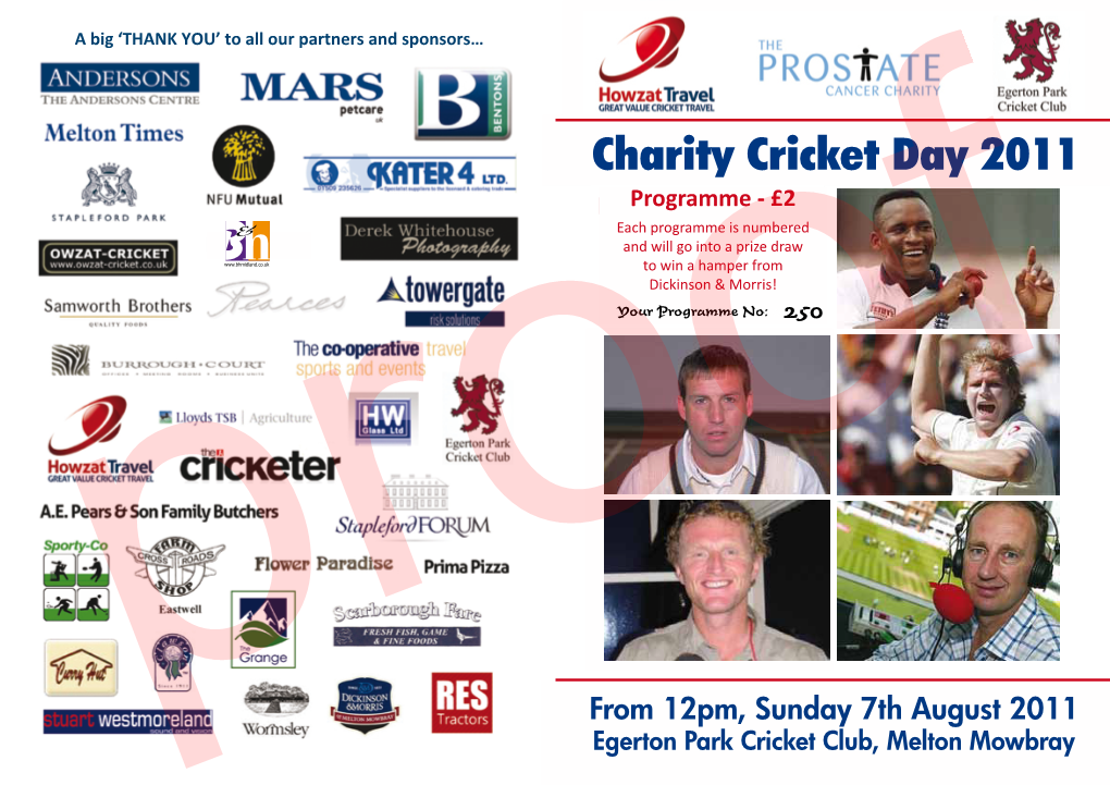Charity Cricket Day 2011