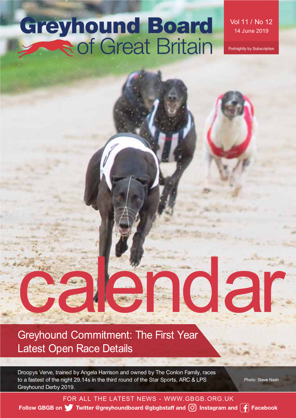 Greyhound Commitment: the First Year Latest Open Race Details