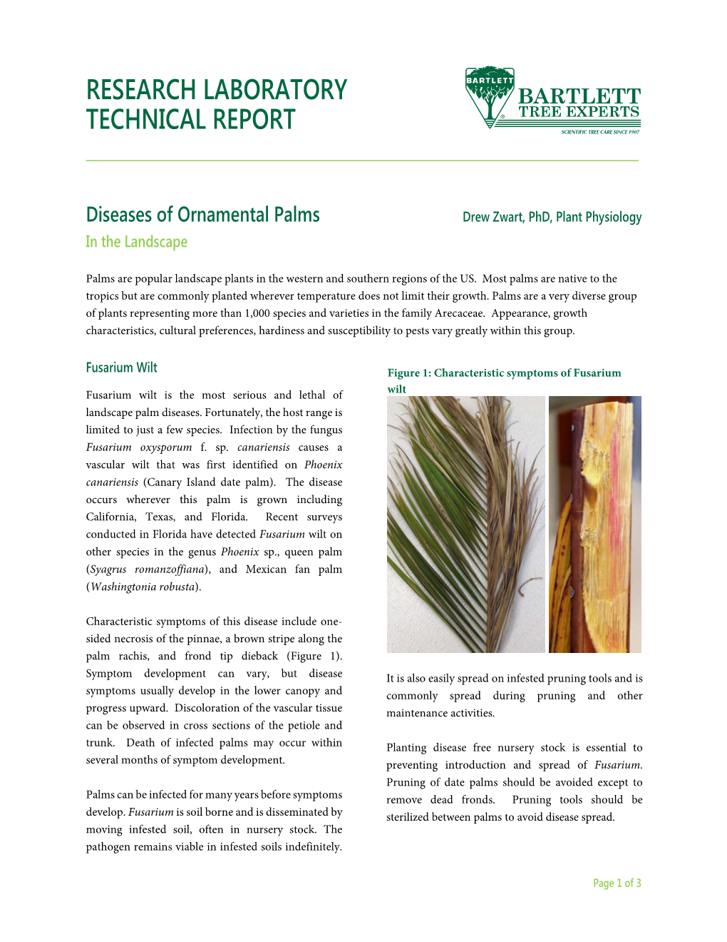 Diseases of Ornamental Palms Drew Zwart, Phd, Plant Physiology in the Landscape