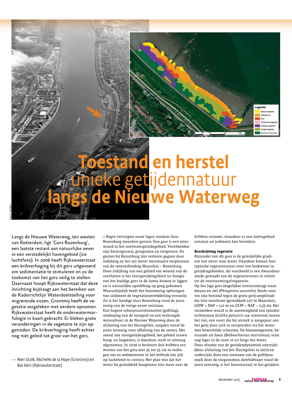 Toestand En Herstel Unieke Getijdennatuur Langs De Nieuwe Waterweg Foto E