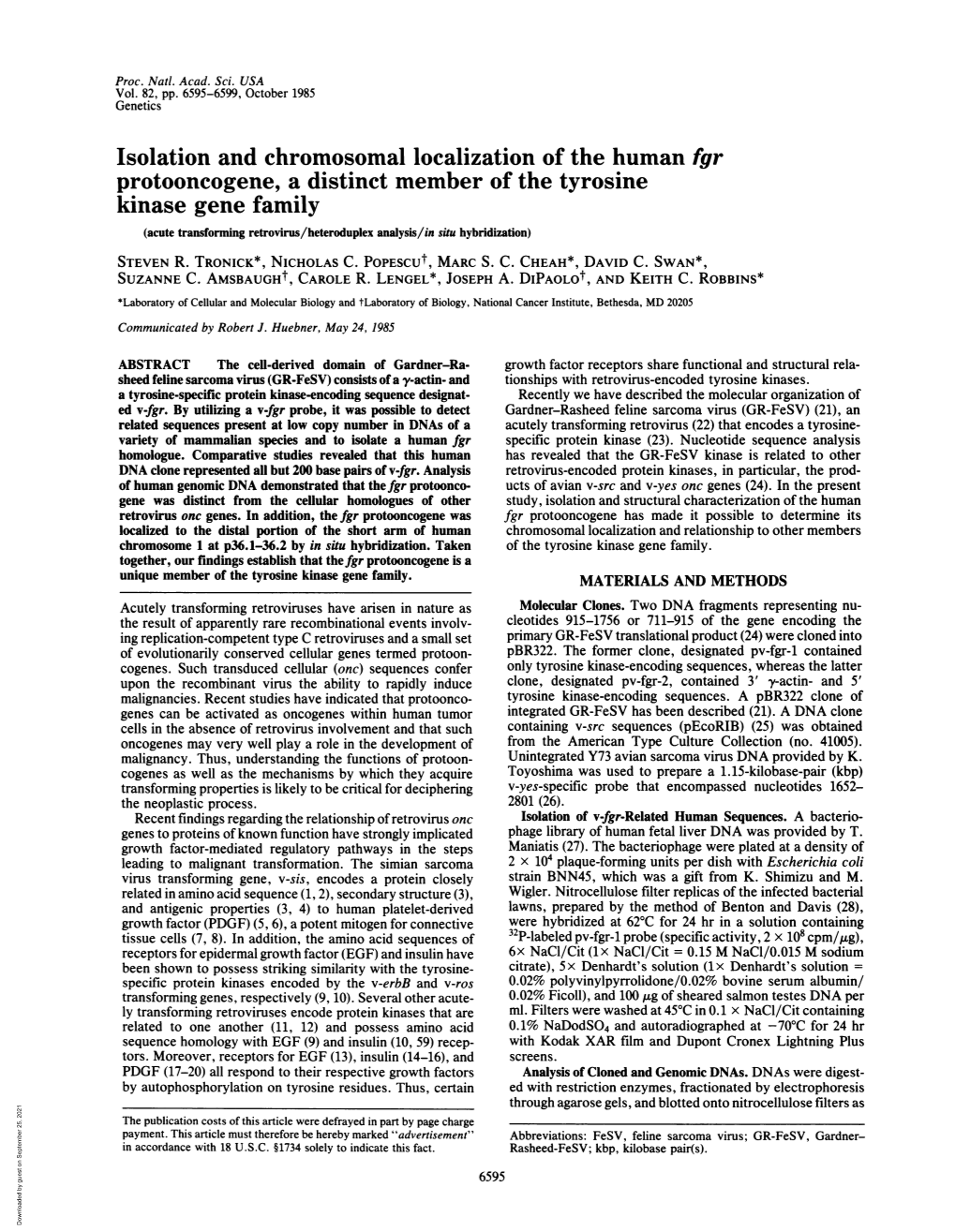 Isolation and Chromosomal Localizationof the Human Fgr