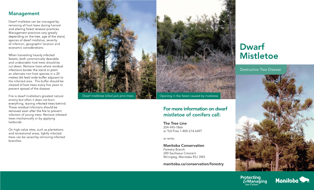 Dwarf Mistletoe Can Be Managed by Removing All Host Trees During Harvest and Altering Forest Renewal Practices