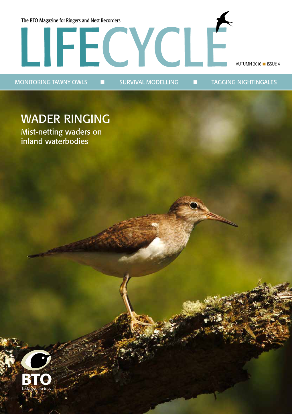 WADER RINGING Mist-Netting Waders on Inland Waterbodies EDITORIAL | Editorial and Contents