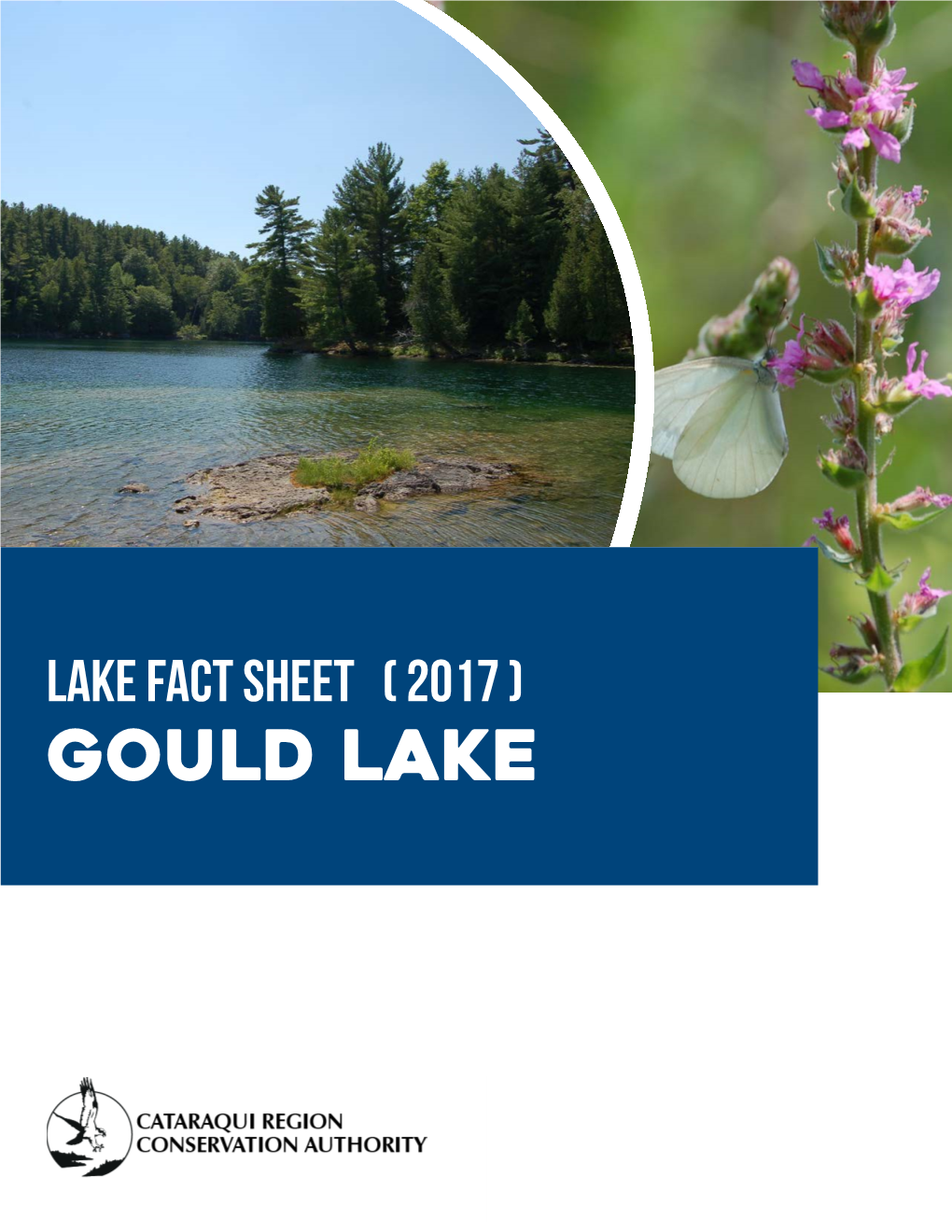 Gould Lake Lake Fact Sheet