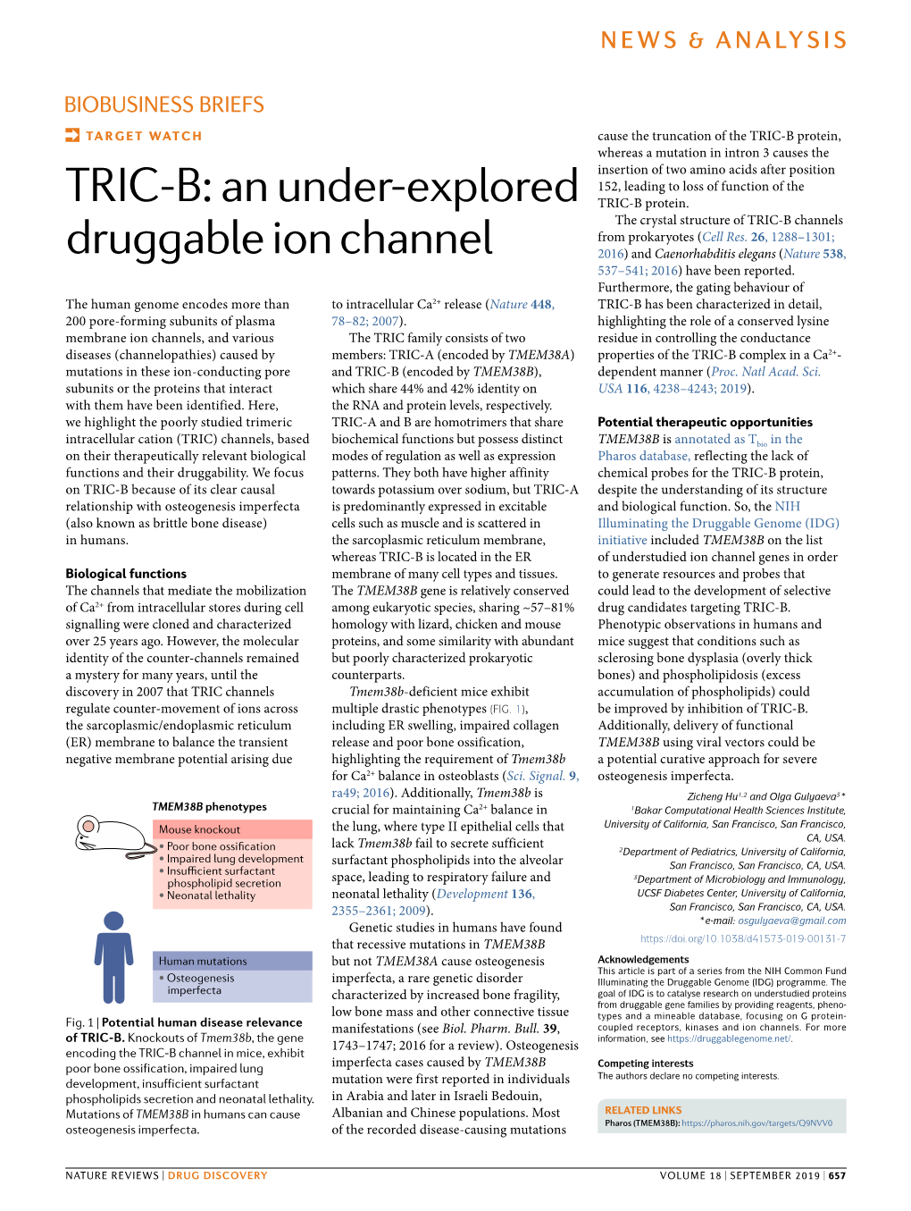 An Under-Explored Druggable Ion Channel