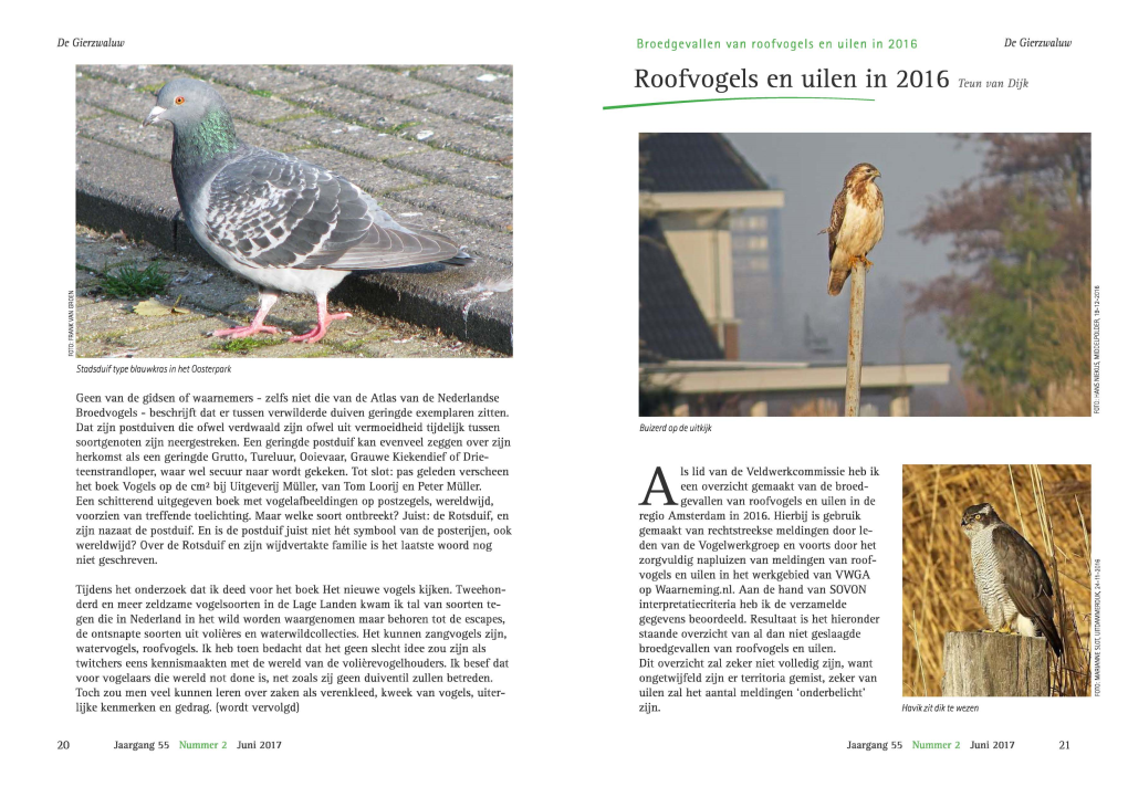 Roofvogels En Uilen in 2016 Teun Van Dijk