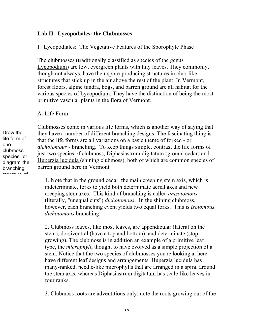 Lab II. Lycopodiales: the Clubmosses
