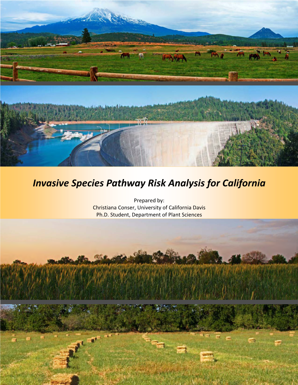 Invasive Species Pathway Risk Analysis for California