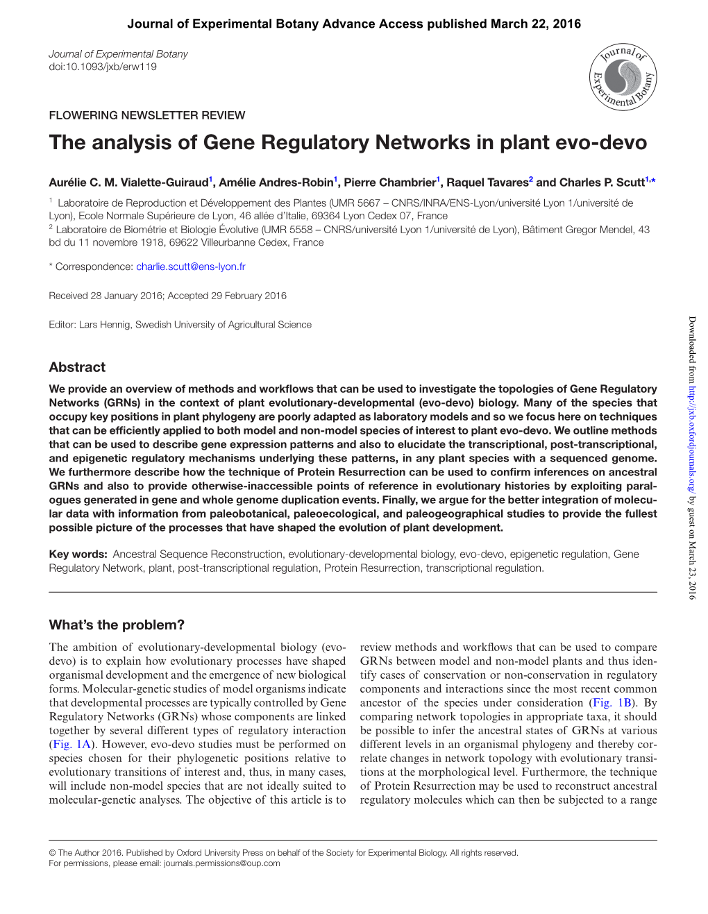 The Analysis of Gene Regulatory Networks in Plant Evo-Devo