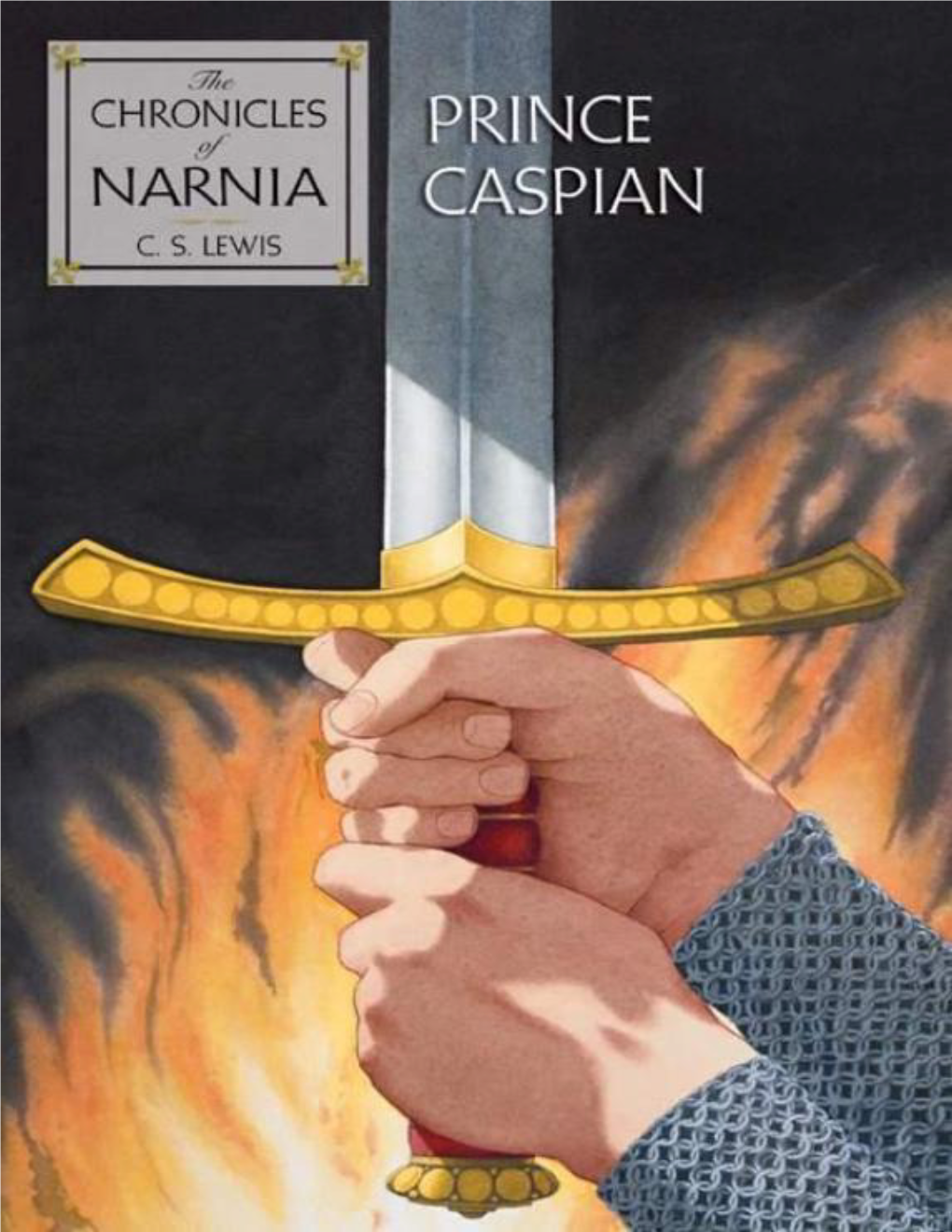 Prince Caspian the Return to Narnia